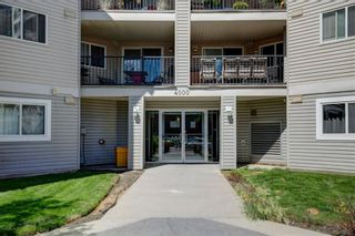 Photo 2: 4421 4975 130 Avenue SE in Calgary: McKenzie Towne Apartment for sale : MLS®# A1020076