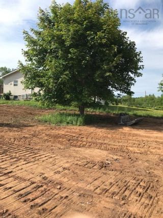 Photo 6: 116 Highway 1 in Hants Border: Kings County Vacant Land for sale (Annapolis Valley)  : MLS®# 202302083