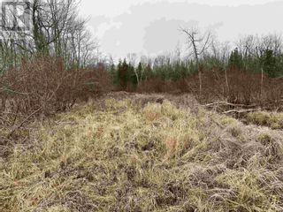 Photo 4: Lot 2 & 3 Con 6 Nelson RD in Ste. Joseph Island: Vacant Land for sale : MLS®# SM240115
