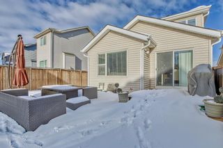 Photo 40: 262 Sage Valley Drive NW in Calgary: Sage Hill Detached for sale : MLS®# A2012983