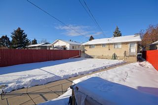 Photo 34: 3232 Doverville Crescent SE in Calgary: Dover Detached for sale : MLS®# A2011662