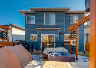 Photo 33: 145 Chapalina Place SE in Calgary: Chaparral Detached for sale : MLS®# A2105246