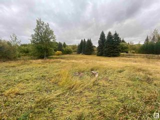 Photo 4: 6 52019 RGE RD 20: Rural Parkland County Rural Land/Vacant Lot for sale : MLS®# E4314044