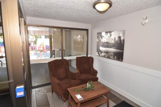 Photo 6: 203 317 19 Avenue SW in Calgary: Mission Apartment for sale : MLS®# A2054344