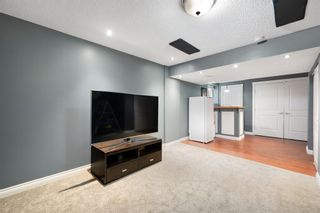 Photo 20: 315 Elgin Place SE in Calgary: McKenzie Towne Semi Detached (Half Duplex) for sale : MLS®# A2036484