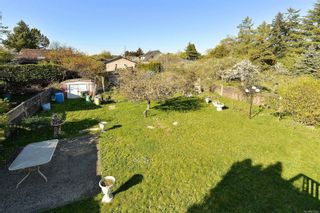 Photo 3: 1772 Carrick St in Victoria: Vi Oaklands House for sale : MLS®# 873403