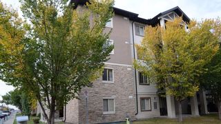 Photo 13: 3213 16969 24 Street SW in Calgary: Bridlewood Apartment for sale : MLS®# A1201295