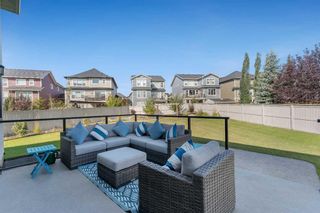 Photo 45: 307 STONEMERE Bay: Chestermere Detached for sale : MLS®# A2118030