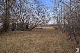 Photo 41: 48177 Rge Rd 245: Rural Leduc County House for sale : MLS®# E4383956