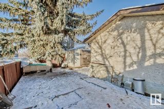 Photo 48: 2018 108B Street in Edmonton: Zone 16 House for sale : MLS®# E4324424