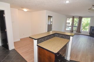 Photo 16: 203 317 19 Avenue SW in Calgary: Mission Apartment for sale : MLS®# A2054344