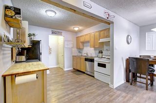 Photo 3: 8 6827 Centre Street NW in Calgary: Huntington Hills Apartment for sale : MLS®# A1133167