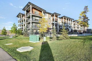 Photo 43: 308 10 WALGROVE Walk SE in Calgary: Walden Apartment for sale : MLS®# A1032904