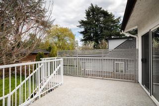 Photo 19: 226 Cadillac Ave in Saanich: SW Tillicum House for sale (Saanich West)  : MLS®# 957757