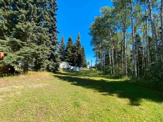 Photo 16: 2530 FREEPORT Road in Burns Lake: Burns Lake - Rural East Business with Property for sale : MLS®# C8046327
