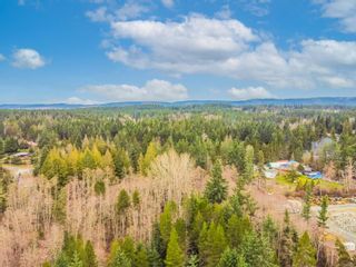 Photo 87: 1060 Smithers Rd in Errington: PQ Errington/Coombs/Hilliers House for sale (Parksville/Qualicum)  : MLS®# 923416