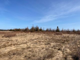 Photo 10: 92-1 Malagash Road in Malagash Point: 102N-North Of Hwy 104 Vacant Land for sale (Northern Region)  : MLS®# 202108290