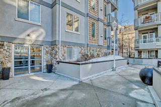 Photo 7: 108 2419 Erlton Road SW in Calgary: Erlton Apartment for sale : MLS®# A2019355