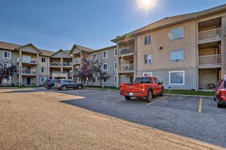 Photo 27: 216 1000 Citadel Meadow Point NW in Calgary: Citadel Apartment for sale : MLS®# A2070515