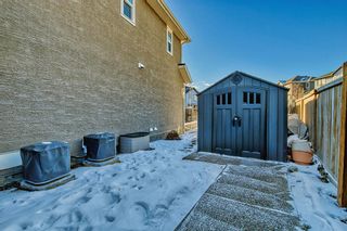 Photo 45: 143 STONEMERE Green: Chestermere Detached for sale : MLS®# A2020834