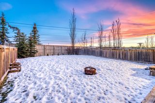 Photo 15: 90 Chapman Close SE in Calgary: Chaparral Detached for sale : MLS®# A2013287