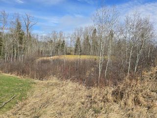 Photo 1: 125 Wolf Run Drive: Rural Ponoka County Residential Land for sale : MLS®# A1193584