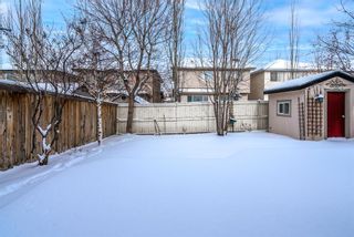 Photo 43: 127 Everwillow Park SW in Calgary: Evergreen Detached for sale : MLS®# A1186704