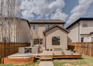 Photo 35: 71 Elgin View SE in Calgary: McKenzie Towne Detached for sale : MLS®# A1213302