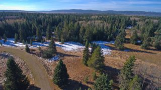 Photo 18: 20.02 Acres +/- NW of Cochrane in Rural Rocky View County: Rural Rocky View MD Land for sale : MLS®# A1065950