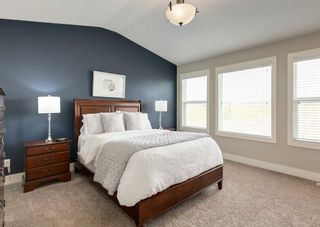 Photo 28: 222 Nolan Hill Boulevard NW in Calgary: Nolan Hill Detached for sale : MLS®# A2056784