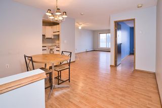 Photo 5: 207 335 Garry Crescent NE in Calgary: Greenview Apartment for sale : MLS®# A2010444