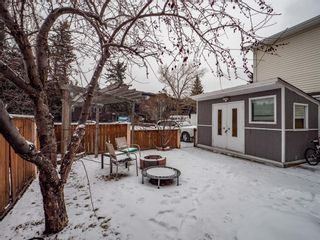 Photo 29: 4632 77 Street NW in Calgary: Bowness Detached for sale : MLS®# A1189686