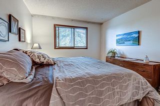 Photo 21: 88 Berkley Rise NW in Calgary: Beddington Heights Detached for sale : MLS®# A1127287