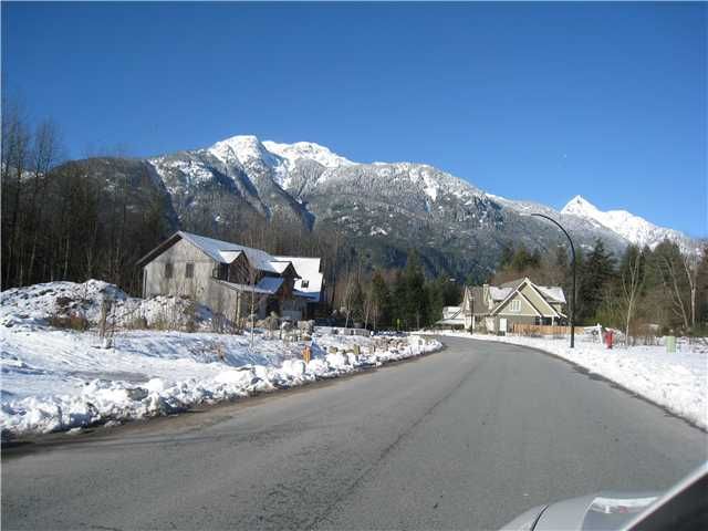 Main Photo: 41441 DRYDEN Road in Squamish: Brackendale Land for sale : MLS®# V921562