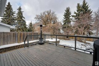 Photo 19:  in Edmonton: Zone 10 House for sale : MLS®# E4373474