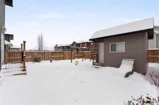 Photo 49: 203 Kolynchuk Manor in Saskatoon: Stonebridge Residential for sale : MLS®# SK914103