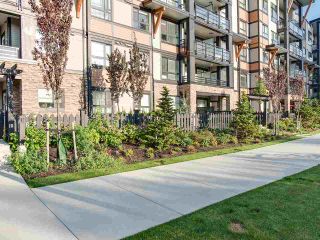 Photo 18: 106 20829 77A Avenue in Langley: Willoughby Heights Condo for sale in "The Wex" : MLS®# R2406414