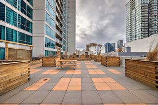 Photo 44: 204 188 15 Avenue SW in Calgary: Beltline Apartment for sale : MLS®# A2121458