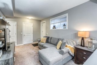 Photo 34: 34 Walden Court SE in Calgary: Walden Detached for sale : MLS®# A1179380