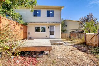 Photo 45: 138 Castlebrook Rise NE in Calgary: Castleridge Semi Detached (Half Duplex) for sale : MLS®# A2006589