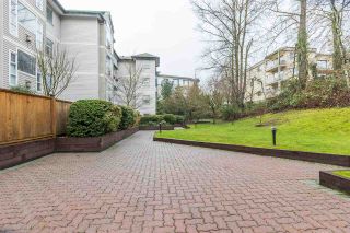 Photo 20: 402 2963 NELSON Place in Abbotsford: Central Abbotsford Condo for sale in "BRAMBLEWOODS" : MLS®# R2424654