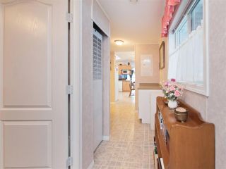 Photo 13: 81 2270 196 Street in Langley: Brookswood Langley Manufactured Home for sale in "Pineridge Park" : MLS®# R2224829
