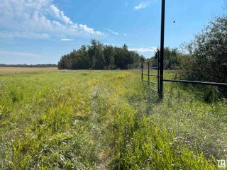 Photo 4: 56519 Range Road 220: Rural Sturgeon County Land Commercial for sale : MLS®# E4352404