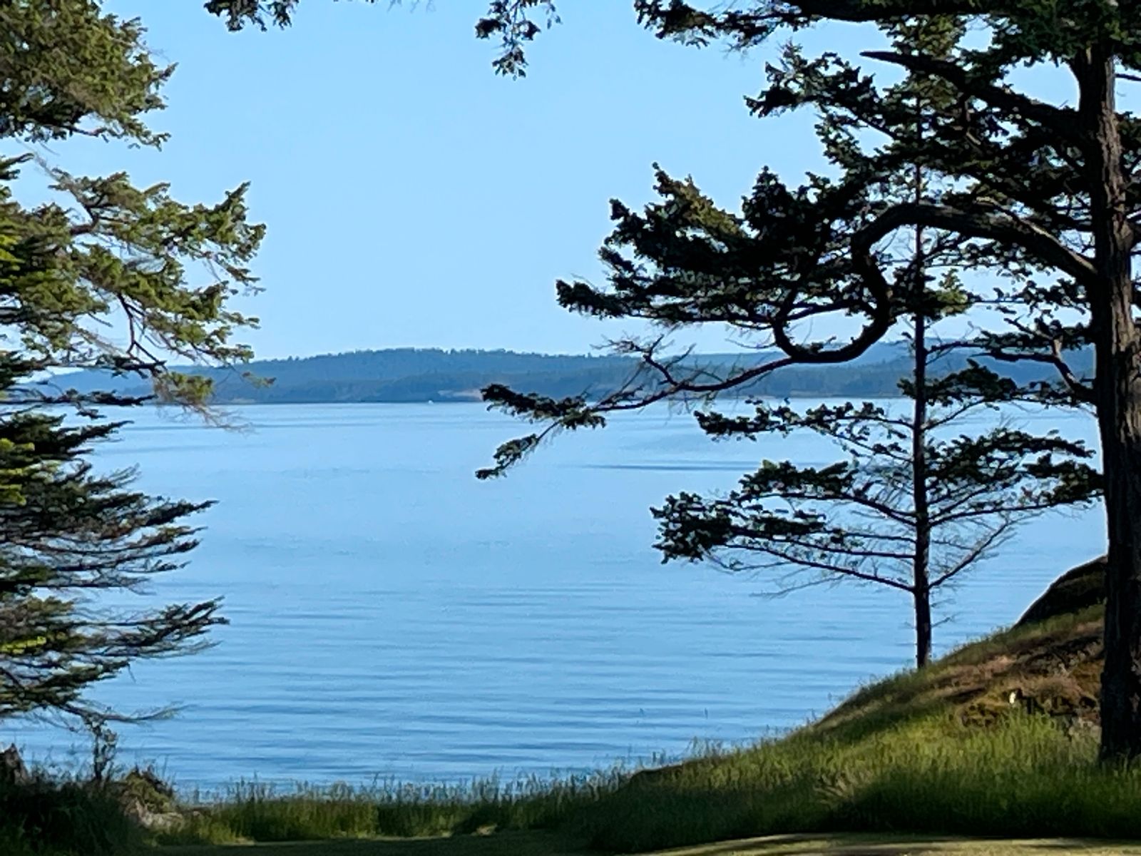 New Listing Coming Up Pender Island Waterfront!