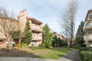 Photo 21: 110 3883 LAUREL Street in Burnaby: Burnaby Hospital Condo for sale in "Valhalla Court" (Burnaby South)  : MLS®# R2648112
