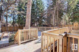 Photo 15: 12 QUESNELL Road in Edmonton: Zone 22 House for sale : MLS®# E4315740