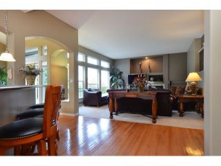 Photo 13: 10351 167A ST in Surrey: Fraser Heights House for sale (North Surrey)  : MLS®# F1422176