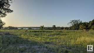 Photo 4: Corozal District: Out of Province_Alberta Land Commercial for sale : MLS®# E4313809