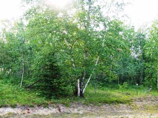 Photo 2: Lot 13 Sunset Cove in Big River: Lot/Land for sale : MLS®# SK909359