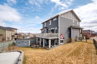 Photo 39: 30 Bayside Park SW: Airdrie Detached for sale : MLS®# A2120303